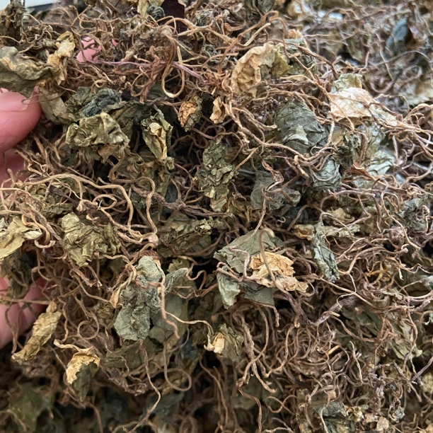 【青】天葵 青天可搭枸杞葵 100g