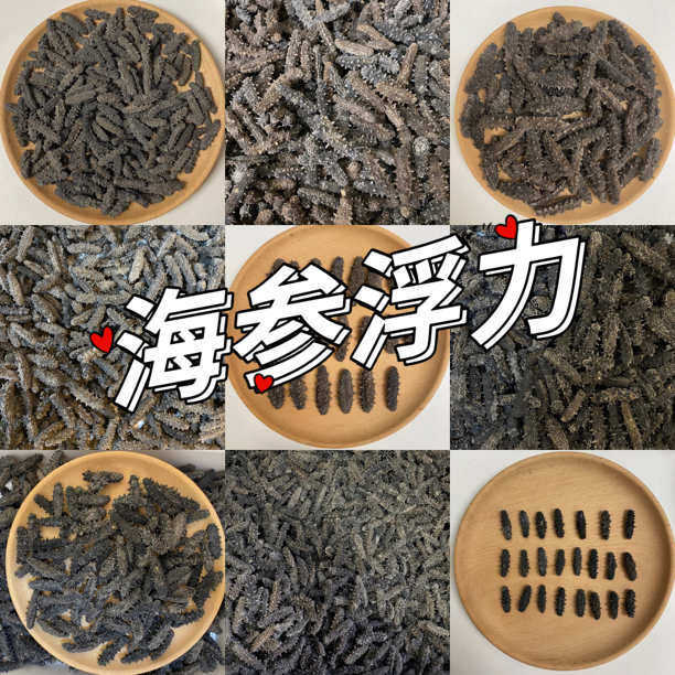 【周年庆】100头（俄）刺参  纯淡干