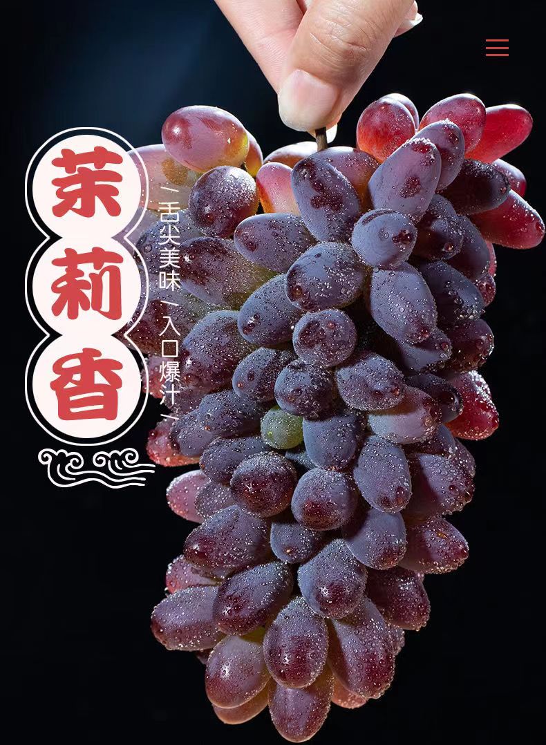 云南红提葡萄茉莉香新鲜现摘现发坏果包赔【顺丰包邮】