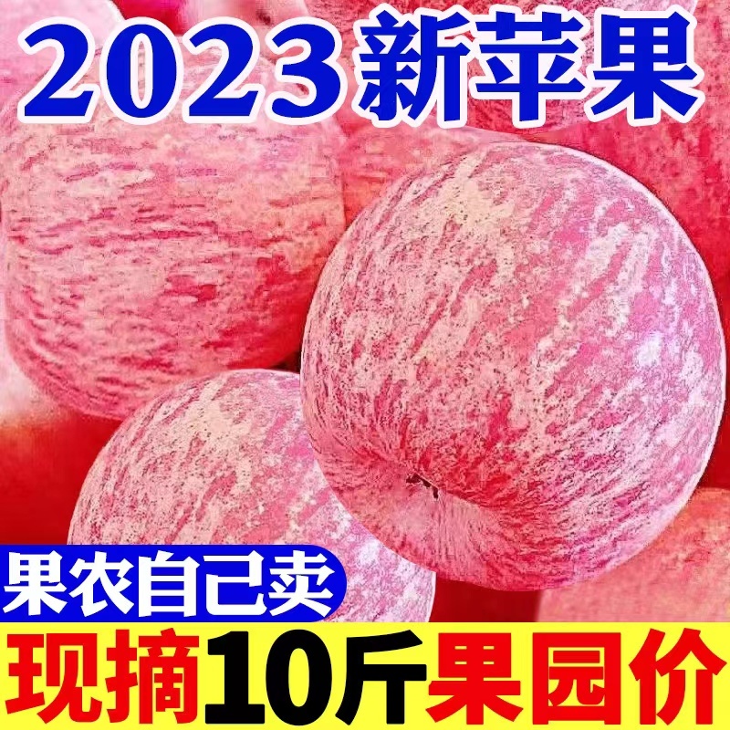 PG【2023新果】陕西红富士苹果当季新鲜冰糖心苹果1-9斤孕妇水果批