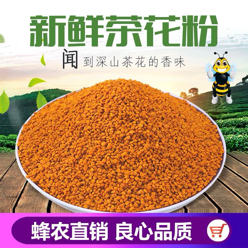 茶花粉2023年新鲜茶花粉浙江茶花粉蜜蜂饲料花粉优质天然