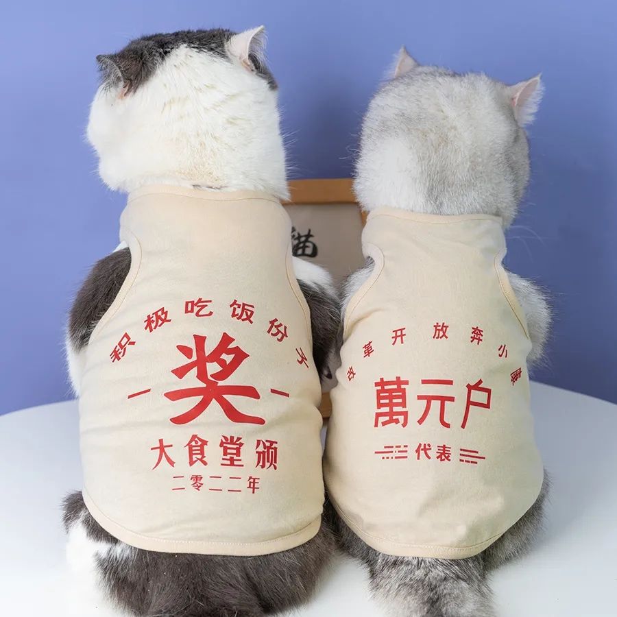 秋冬猫咪衣服创意德文司芬克斯无毛猫衣服春夏宠物狗狗背心空调服