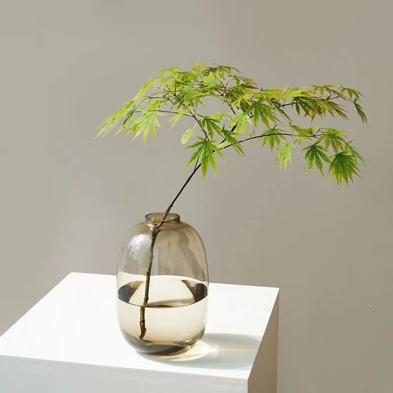 【龟背竹同款花瓶大号】高颜值花瓶摆件