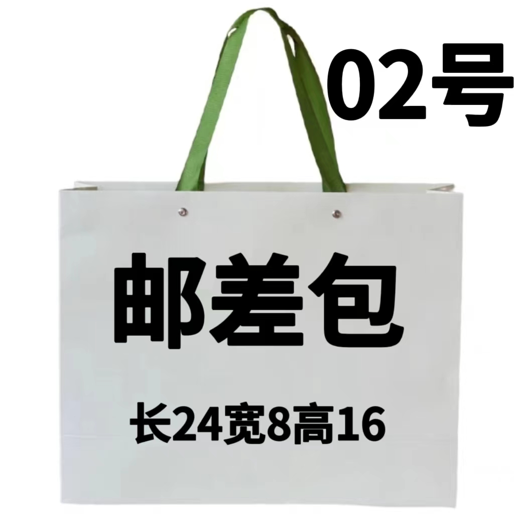 TT  02号包  时尚 高级感小众斜挎邮差包 6520#2