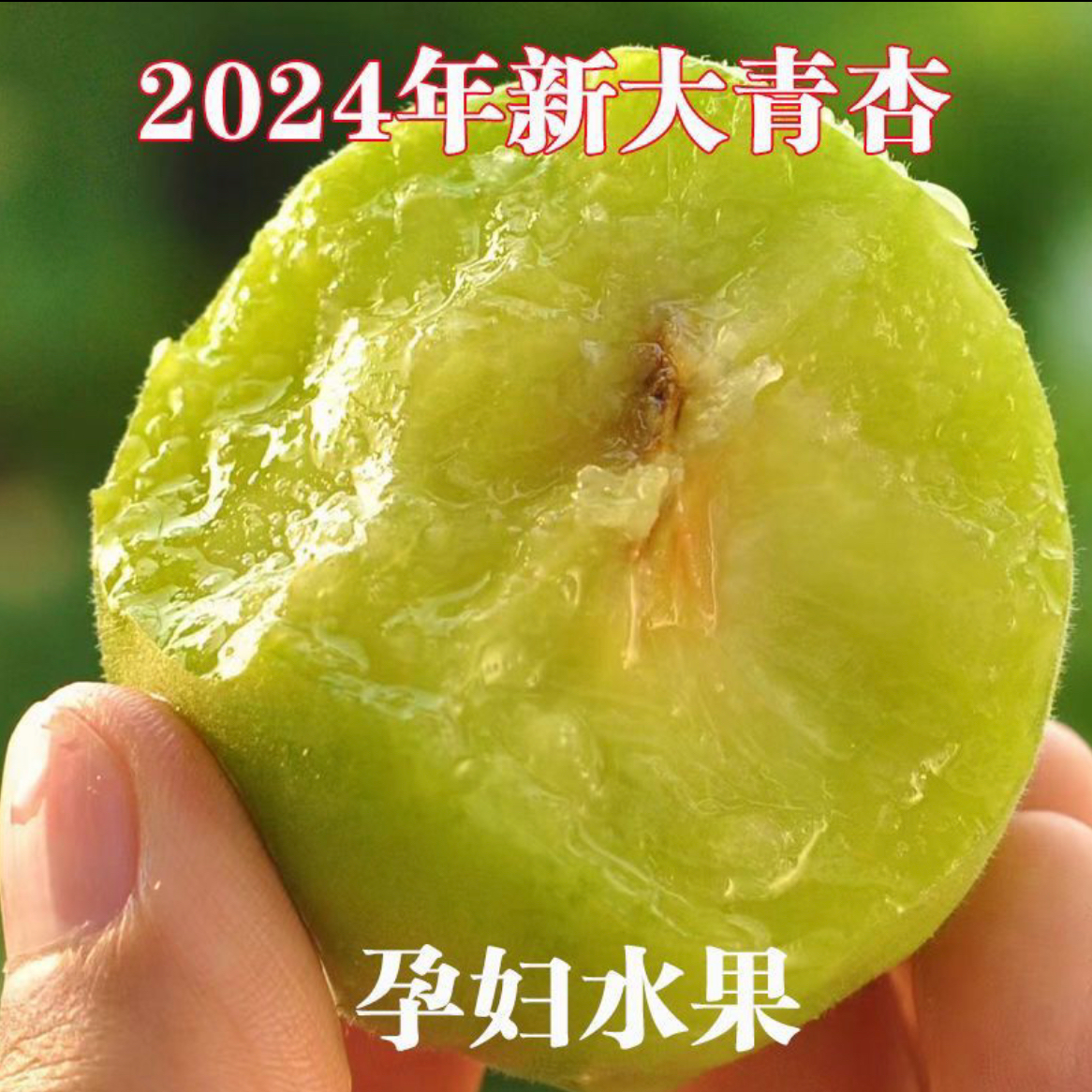 【9.9尝鲜】2024头茬酸脆杏子酸杏子鲜果青杏子新鲜孕妇水果产地发
