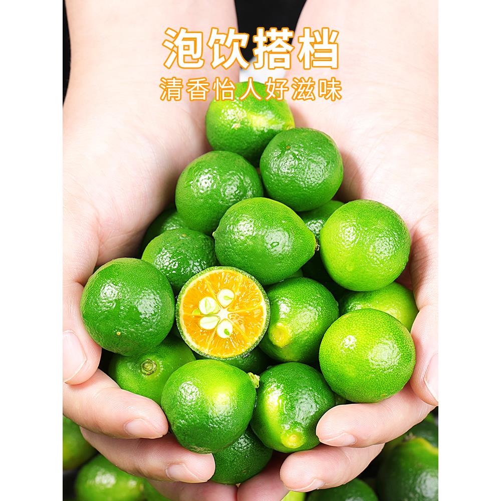 海南小金桔新鲜水果应当季皮薄香水青金柠檬奶茶专用整邮笋0g