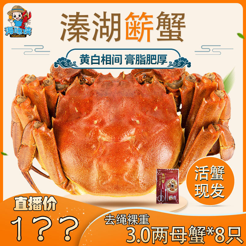 【甄选大闸蟹】精品活蟹 母3.0两 8只 现捕活蟹现发 江苏空运发货