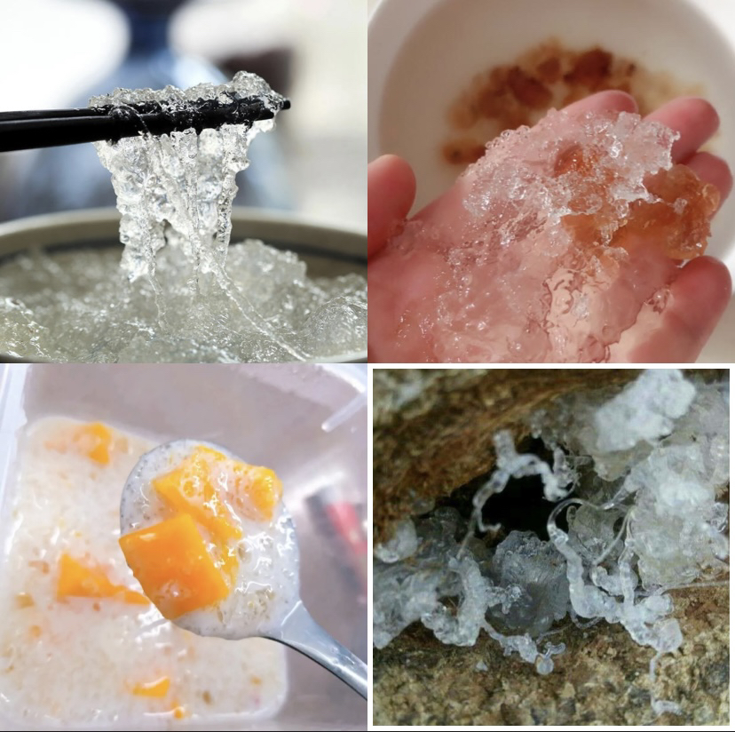 【大山好物】现收樰、燕500g