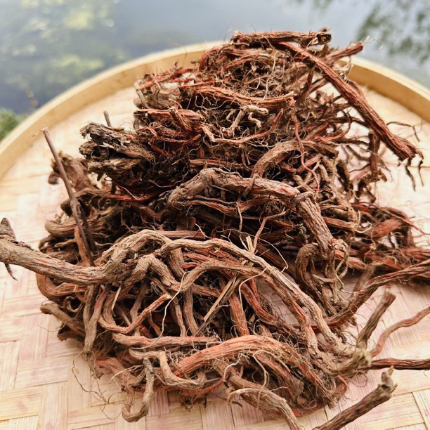 【大山好物】现收 丹參500g