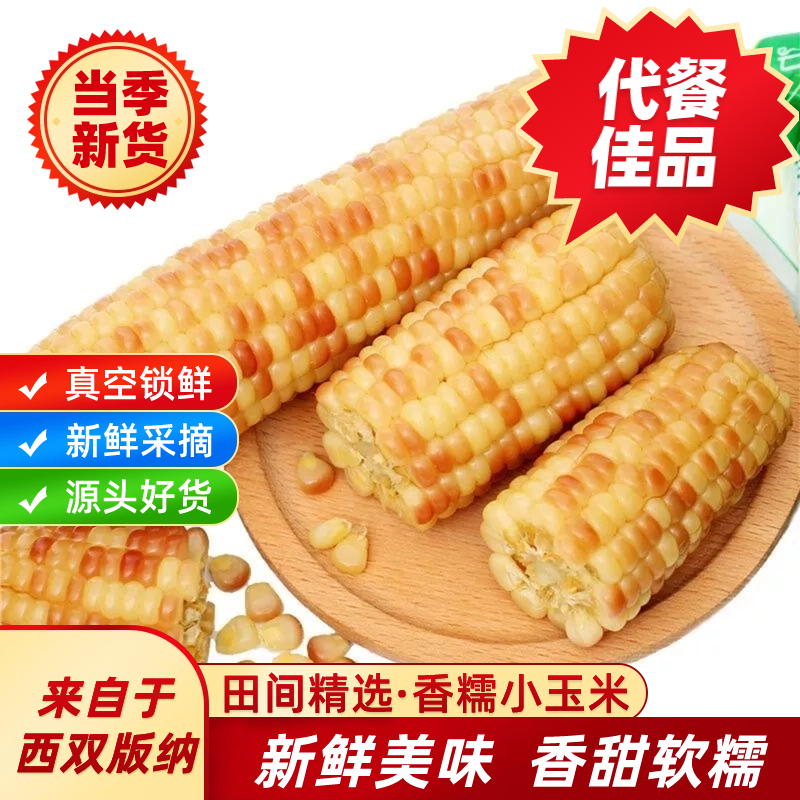 【代餐好物】云南西双版纳新鲜香糯小玉米甜花糯玉米棒真空独立包装