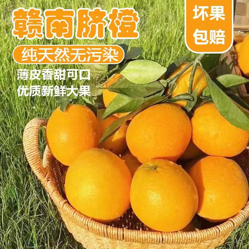 江西赣南脐橙新鲜当季鲜甜水果整箱5斤/10斤装农家果园现采现发!