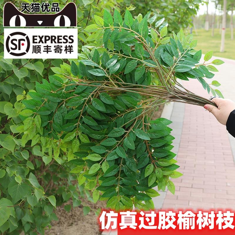 高档榆树叶绿色植植物叶子手感过胶塑料榆树支假树枝工程装饰造型
