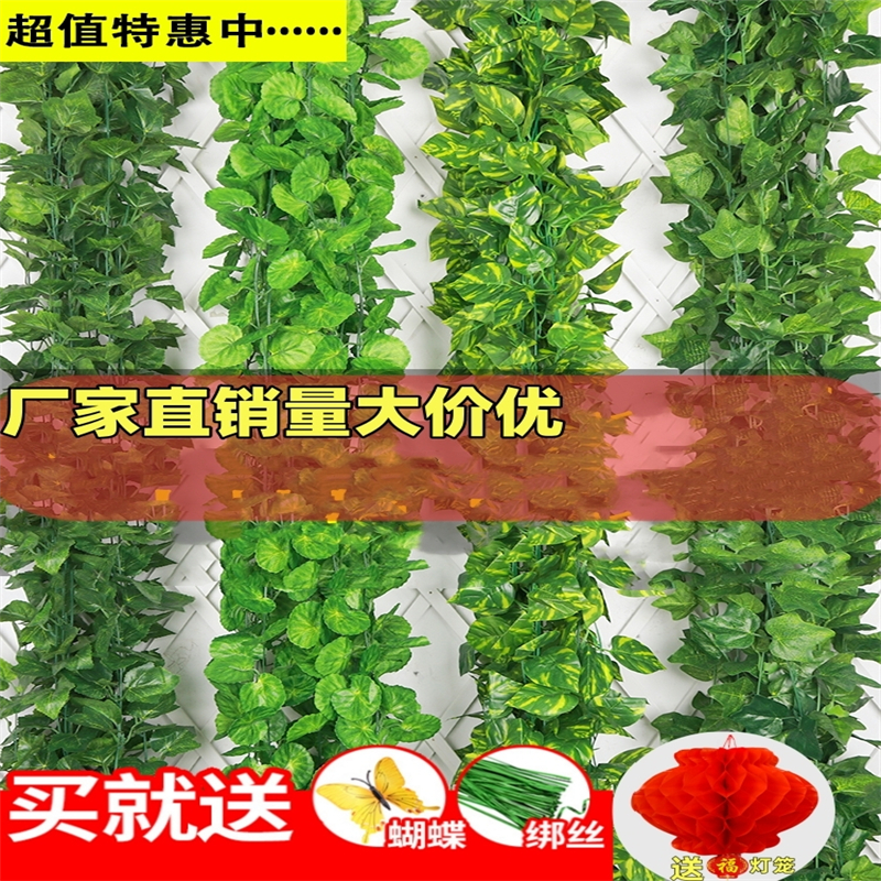 仿真藤条葡萄叶装饰假花藤蔓管道缠绕绿植吊顶树叶塑料爬山虎绿叶