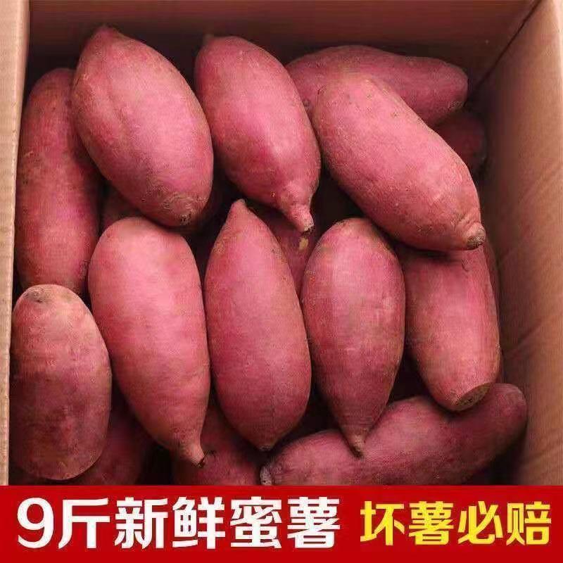 【正宗西瓜红蜜薯】沙地蜜薯红薯新鲜沙地瓜板栗番薯现挖蜜薯5斤