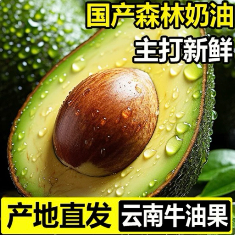 牛油果巨无霸云南哈斯新鲜采摘绿色熟透一级鳄梨营养辅食水果包邮