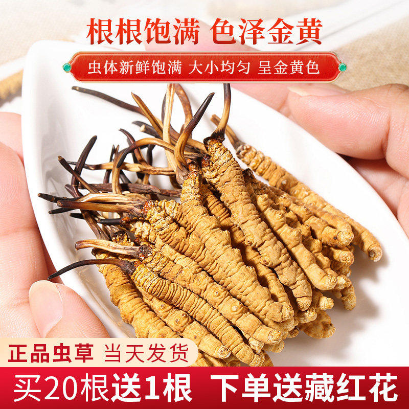 【假一赔四】 西藏那曲虫草干货冬虫草送礼佳品 50根 经典礼盒装