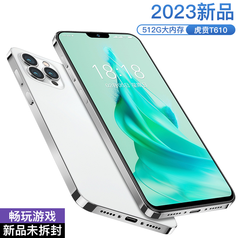 【官方正品】原装全新智能双卡双待手机512G
