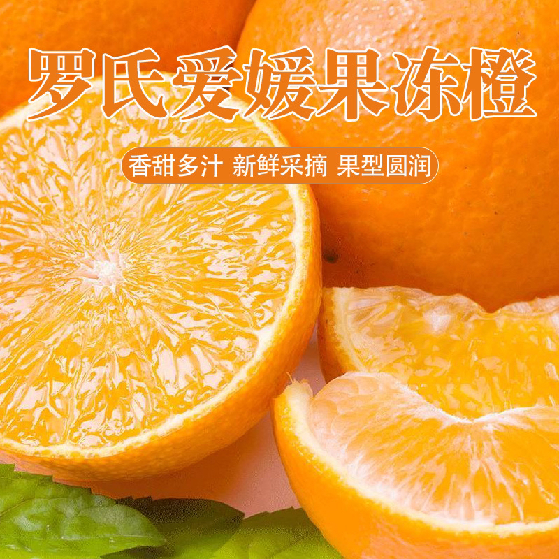 【顺丰/京东发货】罗氏爱媛果冻橙净果5/7斤