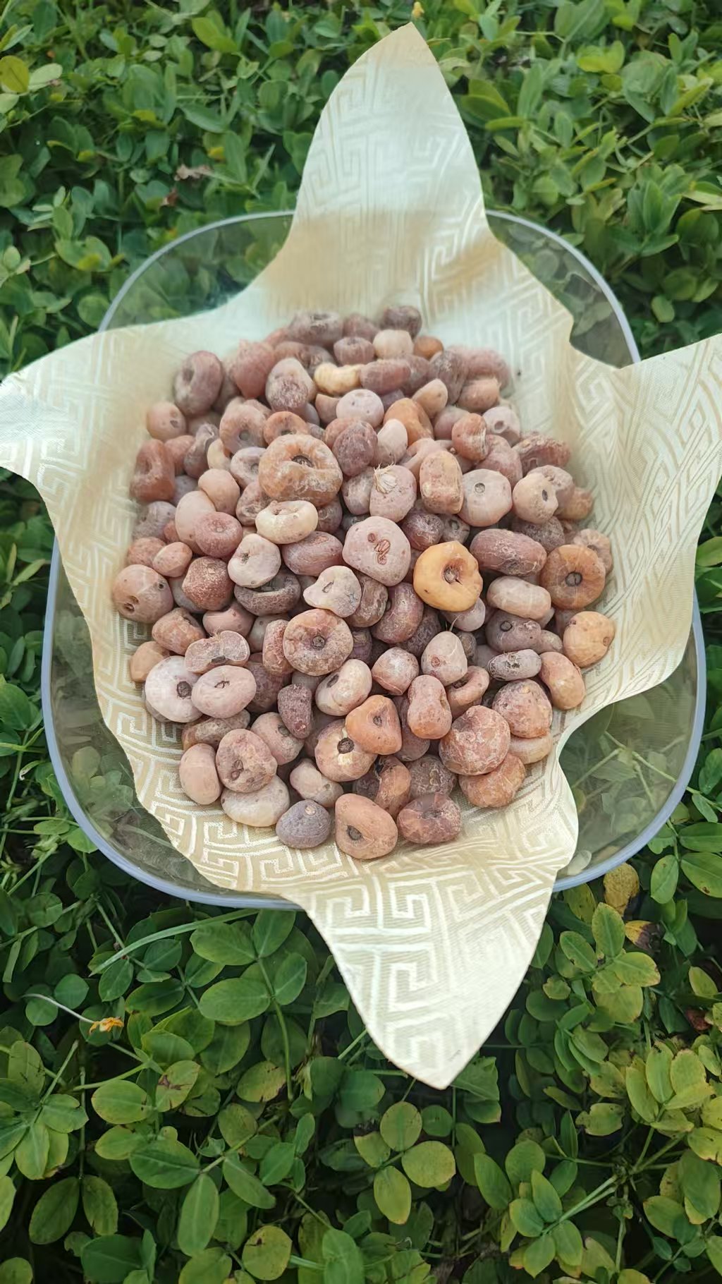 【娜娜推荐】现收土特产御-皇-丹-250克--500克-1000克食用农产品