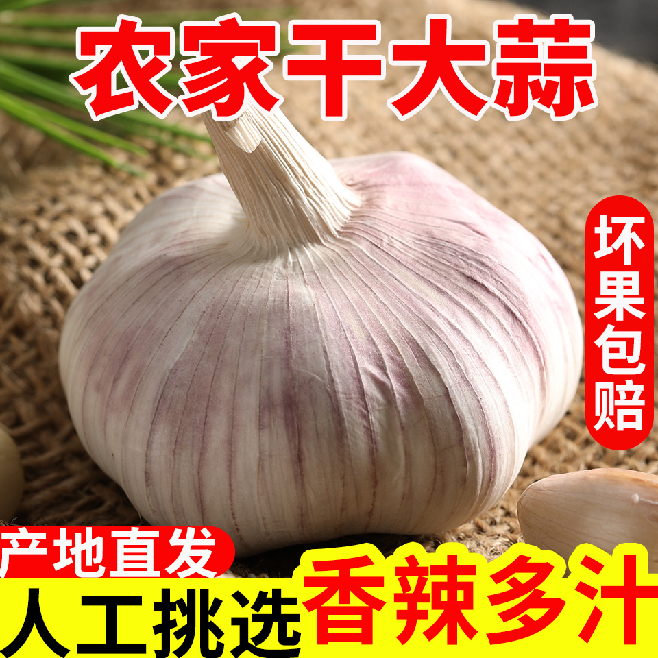 （粉丝福力）特惠干蒜250g紫白皮河南杞县特产干大蒜头蔬菜