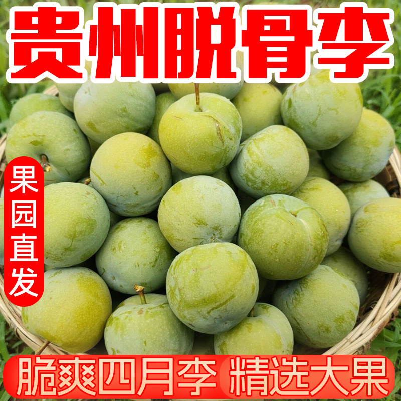 【笨狐甄选】贵州冰脆李现摘现发新鲜整箱应季水果脱骨李清爽甘甜