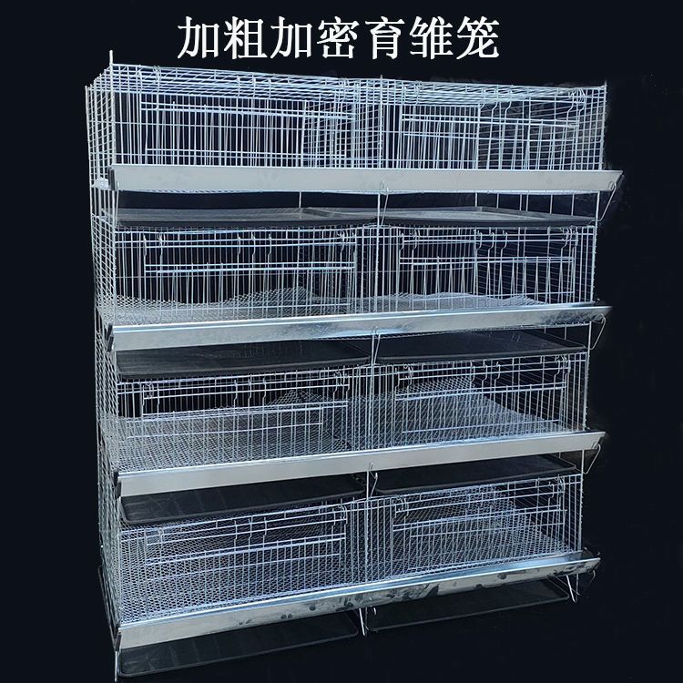 小鸡育雏笼家用养小鸡笼加粗加密雏鸡笼鸡苗小鸭蛋鸡育雏笼养殖笼