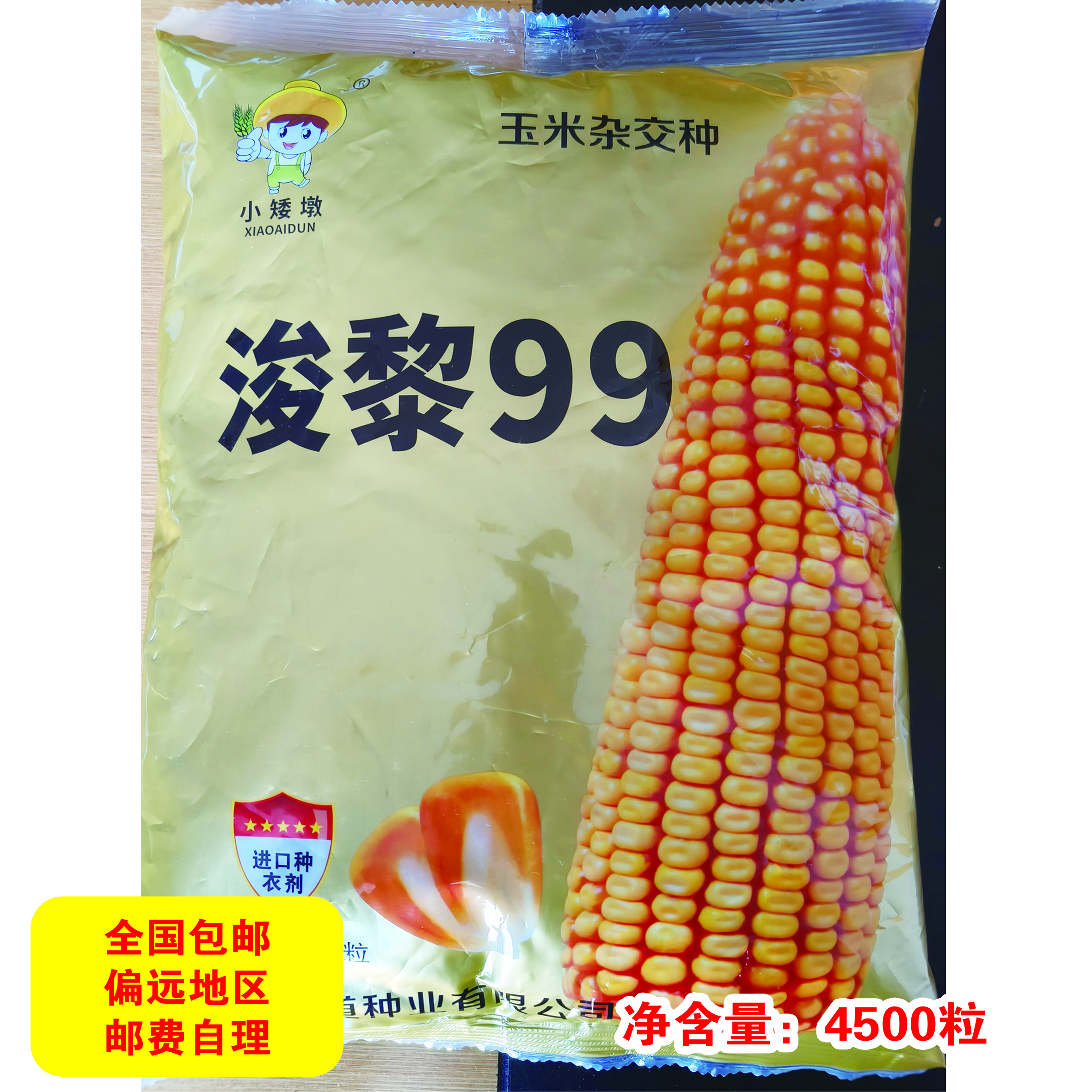 浚黎99，高产抗病玉米品种，1袋起发。