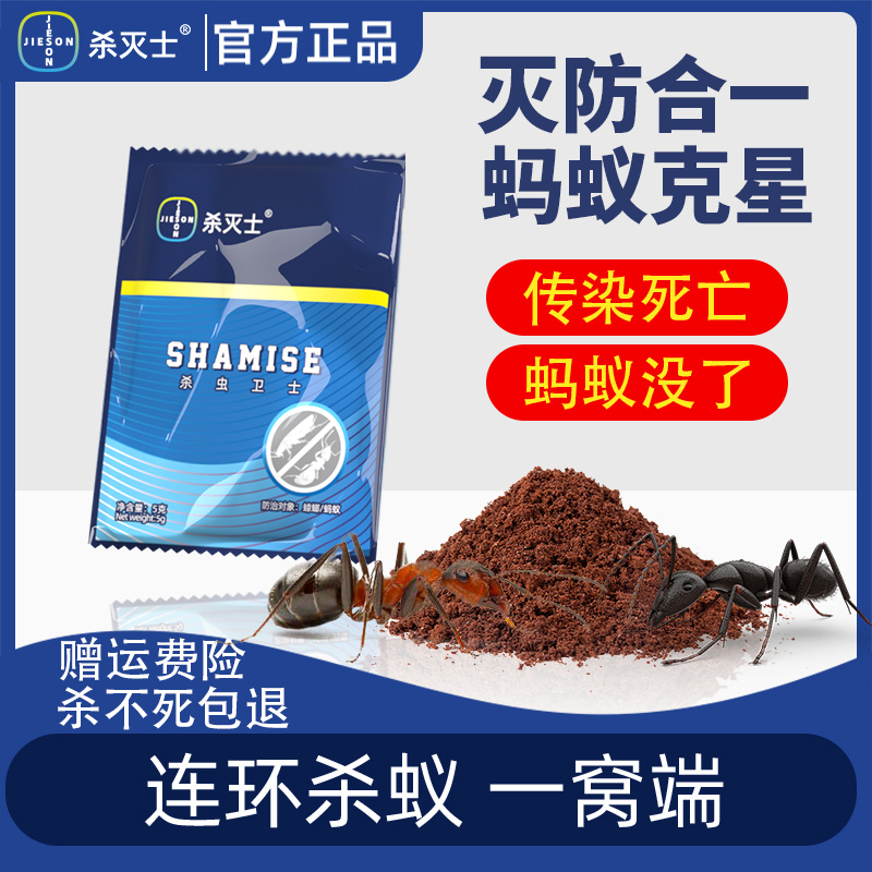 除灭蚂蚁药粉家用室内厨房全窝端灭蚁神器驱杀黑红蚂蚁饵剂非无毒