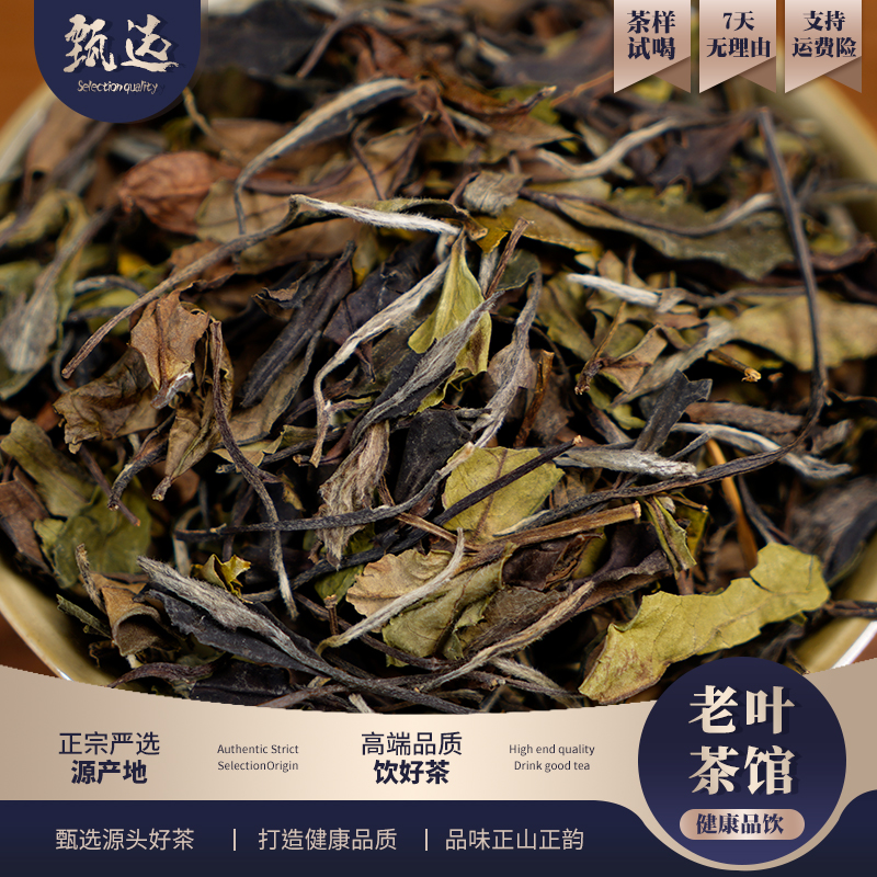 【福鼎白茶】2016小菜茶