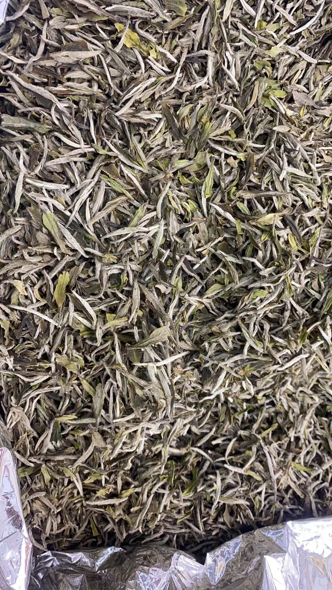 【康潮一品】福鼎白茶2022年雪后特级白牡丹 散茶 白茶