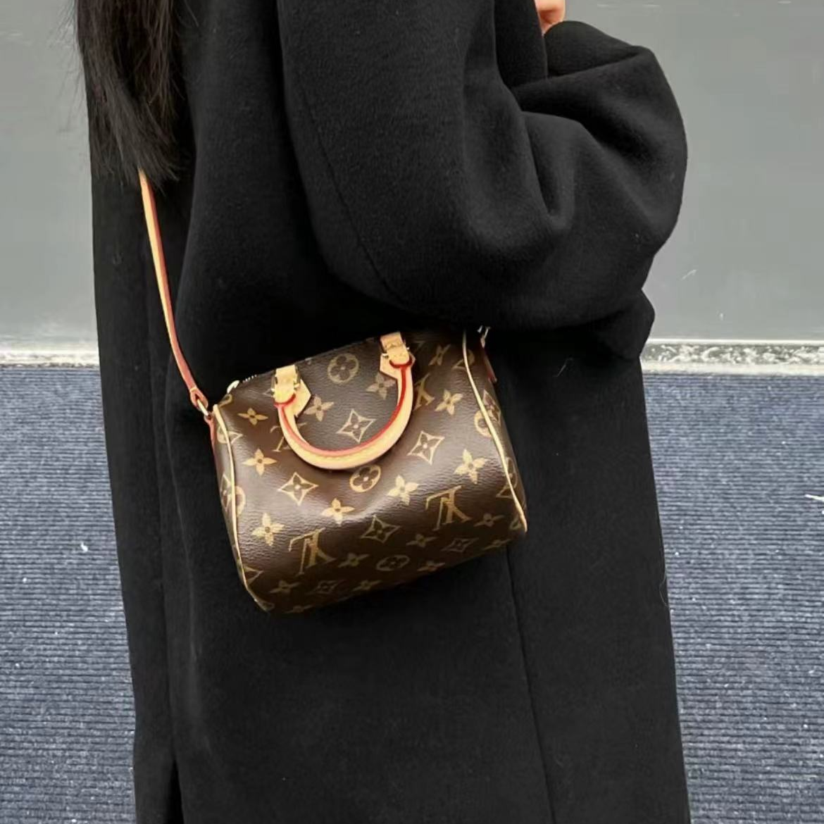 95新 LouisVuitton/路易威登 LV包包老花speedy nano枕头包全原TT