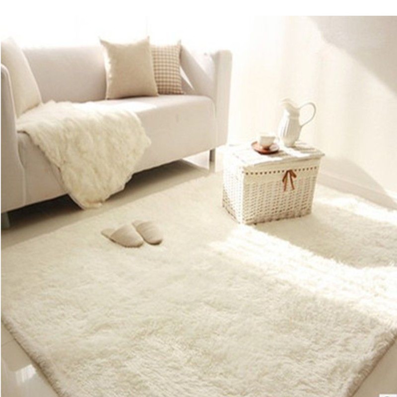 【温馨系列】卧室床边长毛绒少女ins地毯满铺客厅房间耐脏毯地垫子