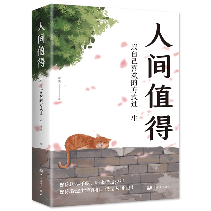 人间值得 以自己喜欢的方式过一生人生正能量成长心灵疗愈书籍