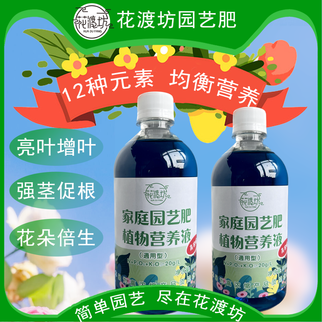 【1瓶6.9】【2瓶9.9】通用植物营养液幸福树发财树三角梅园艺施肥生长