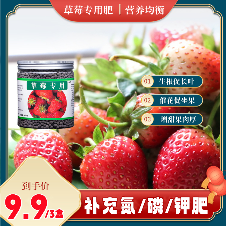 【9.9元3盒】草莓专用肥 果大果甜延长坐果期盆栽颗粒缓释营养肥