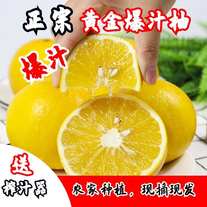 【高档礼盒】爆汁葡萄柚当季鲜果爆汁柚新鲜清8.5斤净重多仓发货