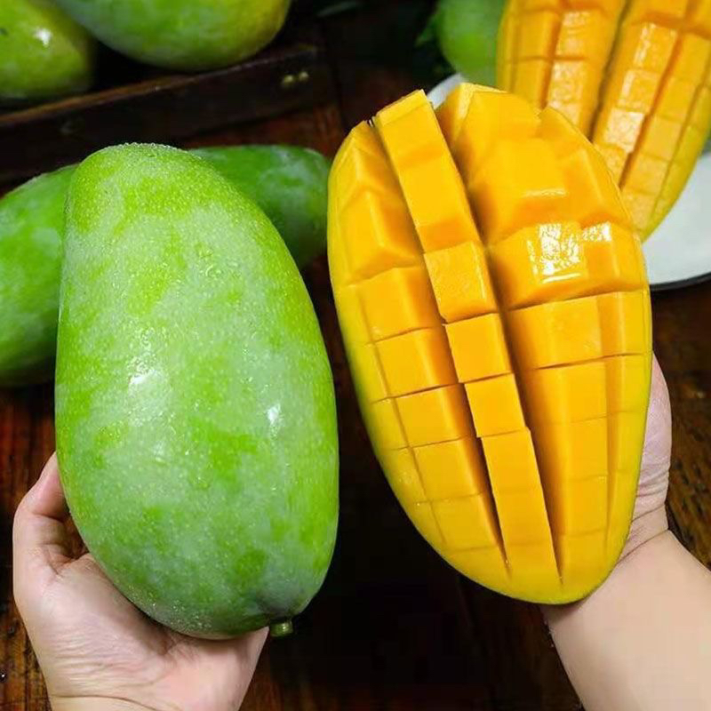 正宗广西百色青皮大金煌芒果新鲜金黄大青芒大果特大10斤