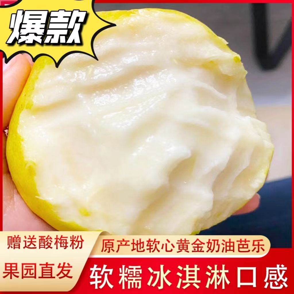 「精选果」广西软心白心番石榴新鲜水果香软芭乐软糯红心芭乐包邮