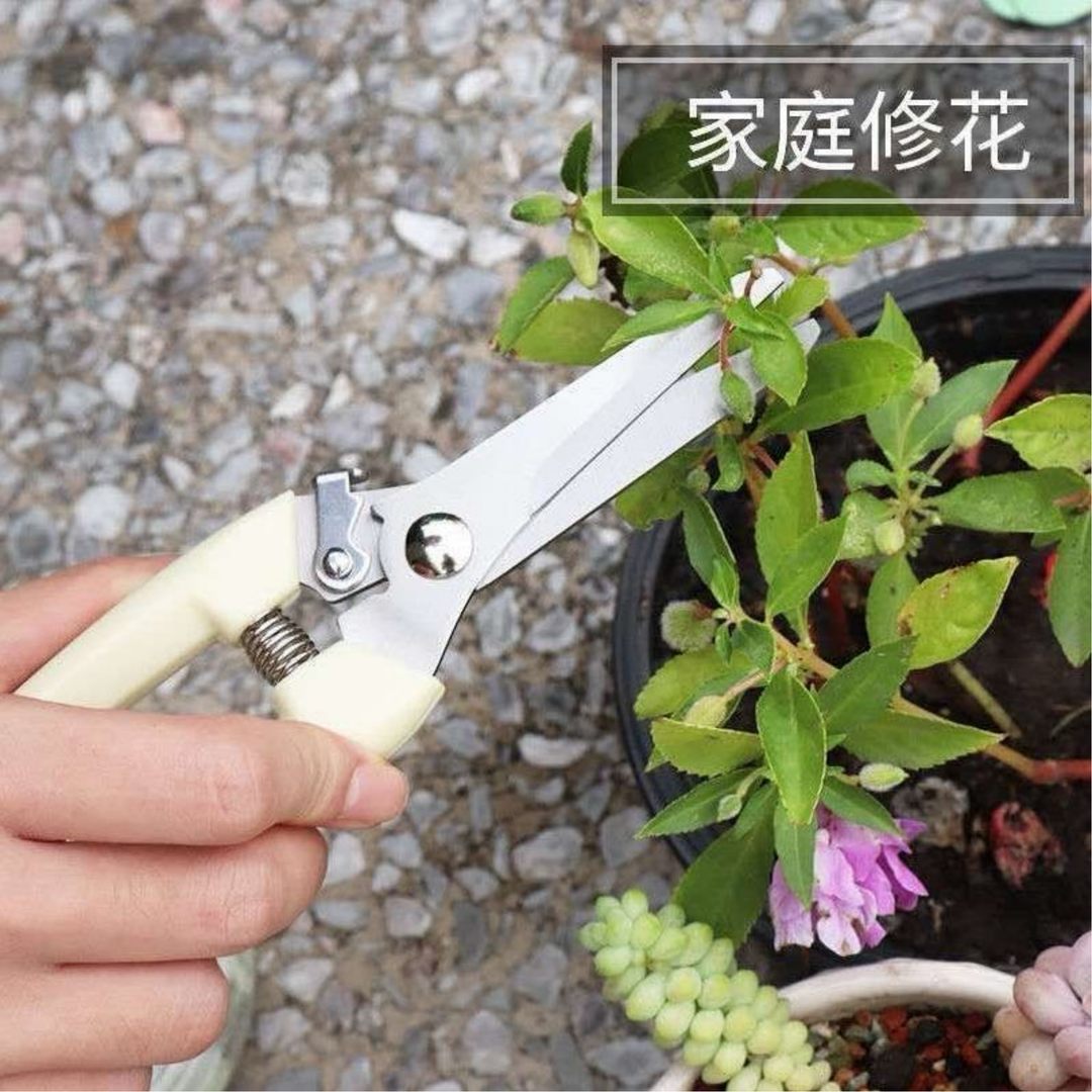 进口sk5果枝果树园艺修枝剪刀园艺修剪工具园林剪刀