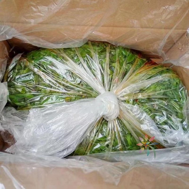 海白菜整箱10斤装香辣酱菜即食下饭海裙带菜4斤散装/0lb蔬菜组合