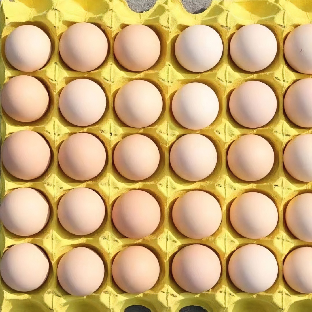 【独立包装】土鸡蛋新鲜乌鸡蛋农家散养柴鸡蛋正宗虫月子早餐蛋优