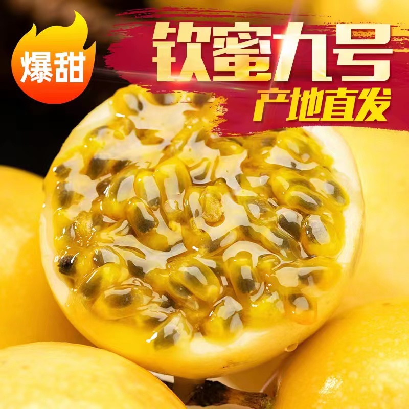 【超高品质】高山钦蜜九号黄金百香果新鲜装坏果包赔饱满皱皮泡水
