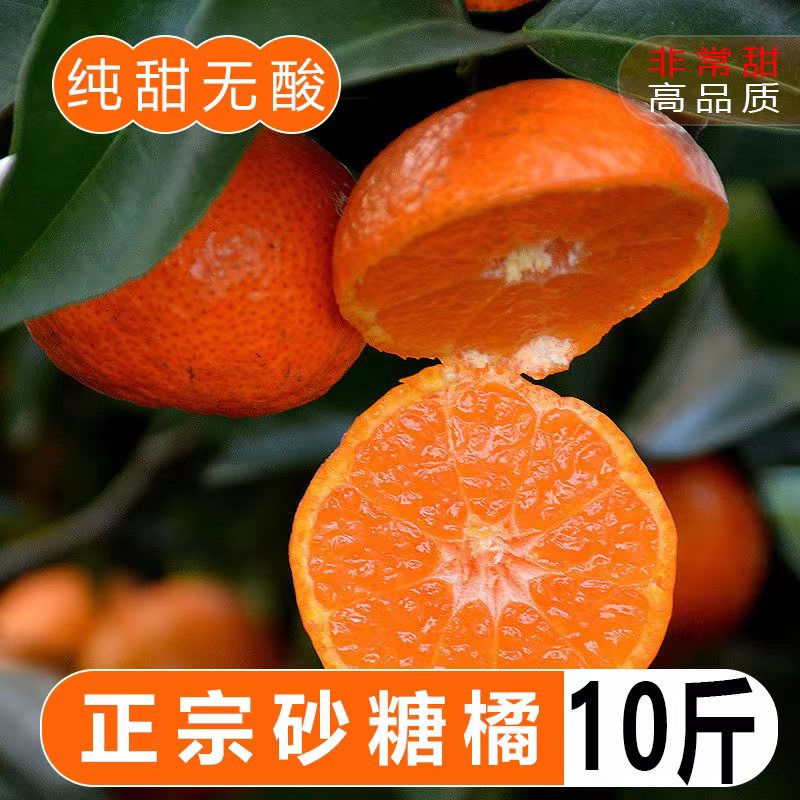 正宗广西砂糖橘沙糖桔当季新鲜水果现摘现发橘子桔子3/5/9斤精选
