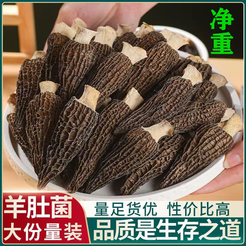【甄选】新鲜云南干货羊肚菌5-7厘米高山特产煲汤炖汤营养肉质饱满
