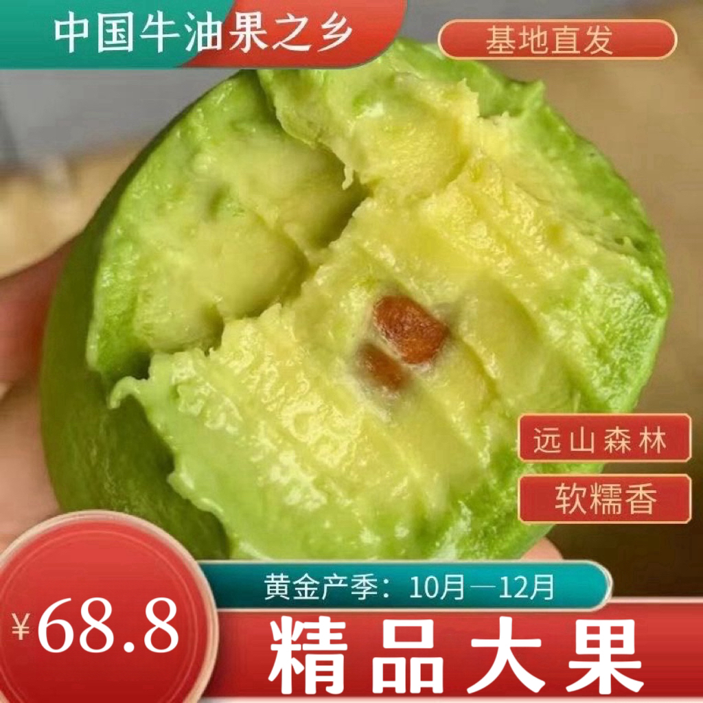 【到手6颗大果】云南高品质哈斯牛油果 新鲜应季水果180-200g