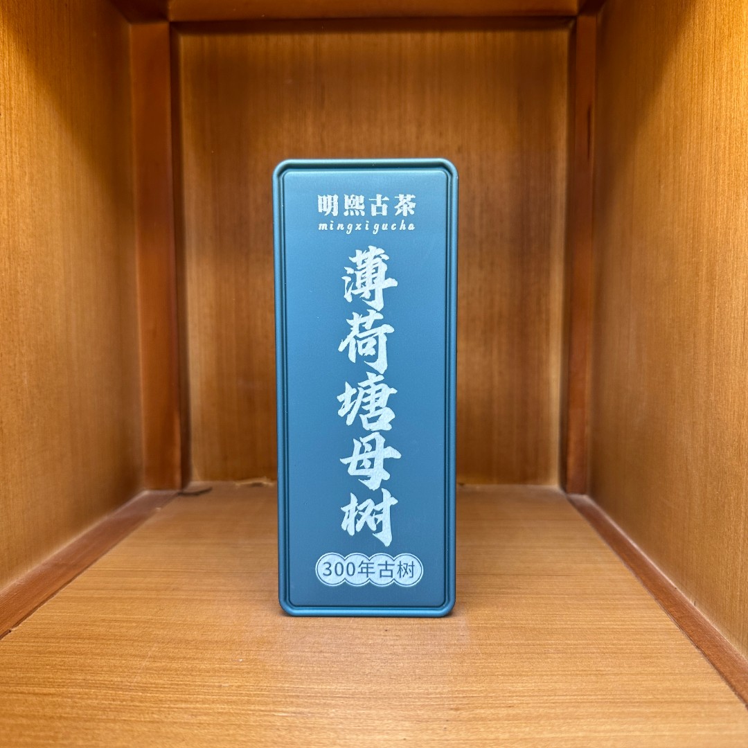 【明熙古茶】2023年普洱茶薄荷塘母树300年古树龙珠 10粒/盒