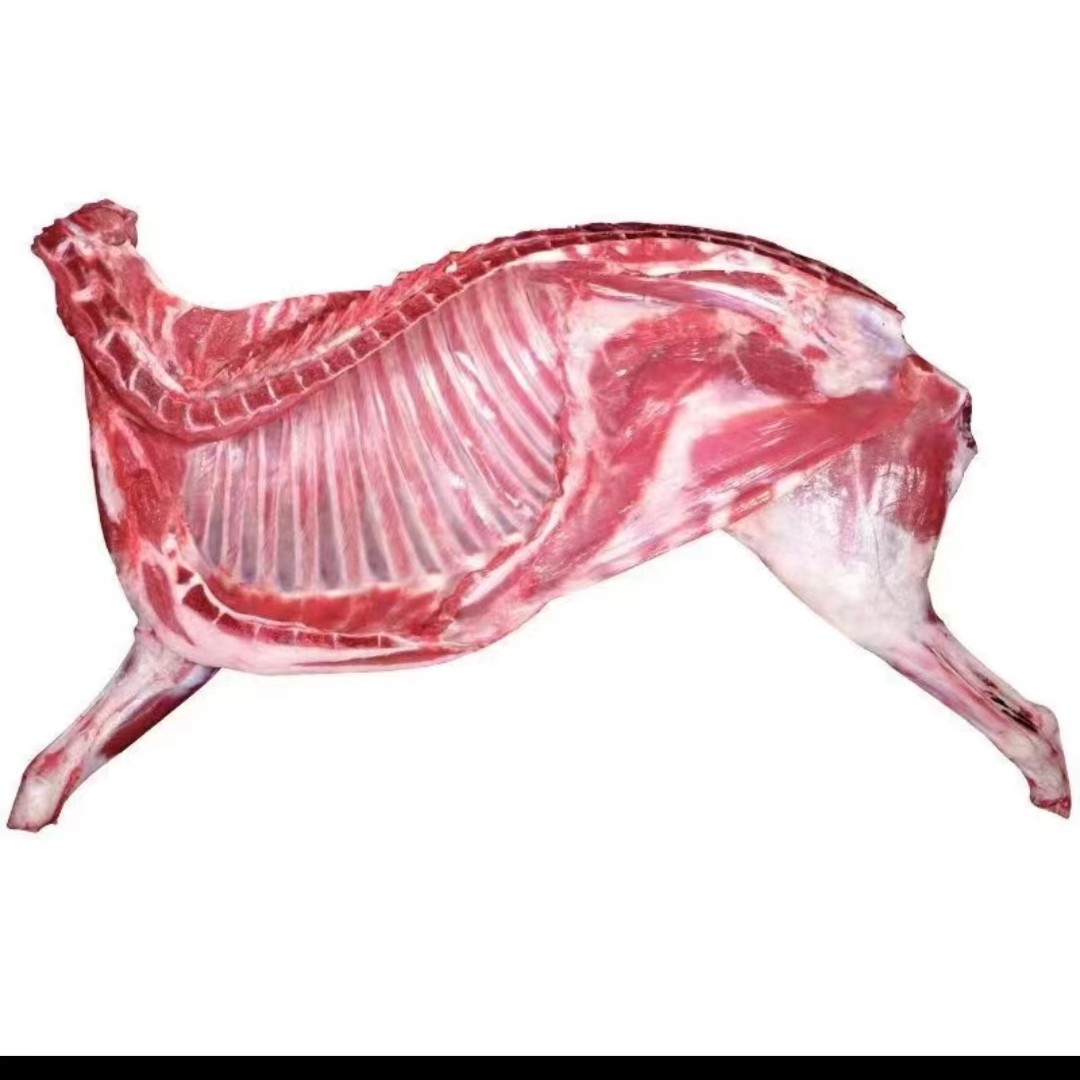 双12专属活动/新疆于田正宗半只羊肉/新鲜鲜肉/顺丰空运分割发货