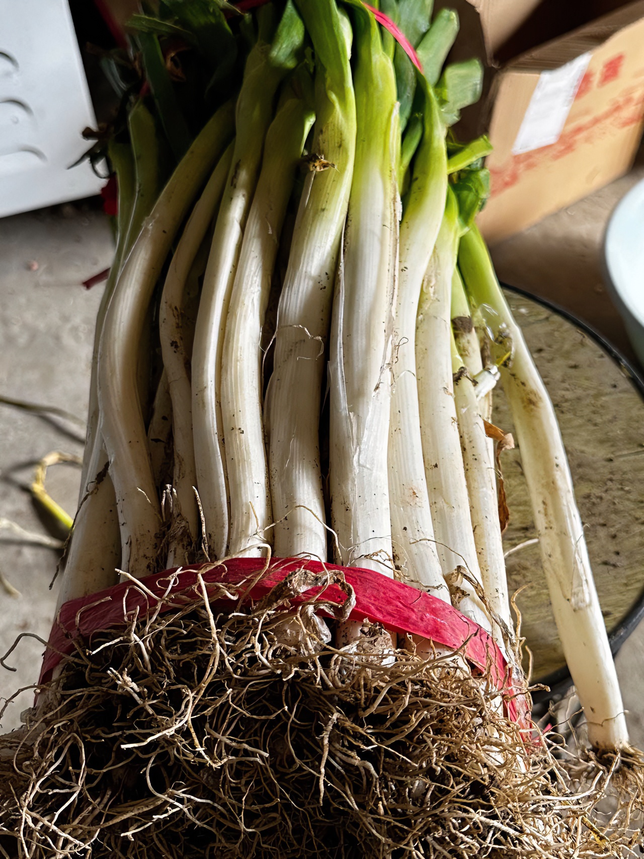 四个蛋自家种植的带皮大葱新鲜7.9/5斤可剥出4.5斤净葱食用好保存