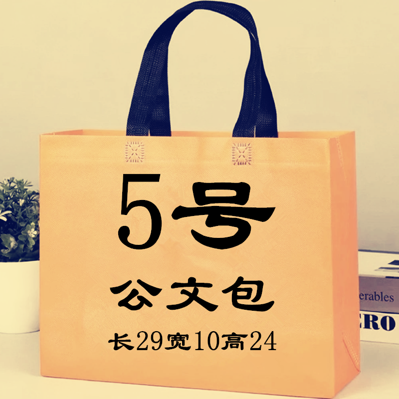 【F05号】2023新款时尚轻奢百搭公文包