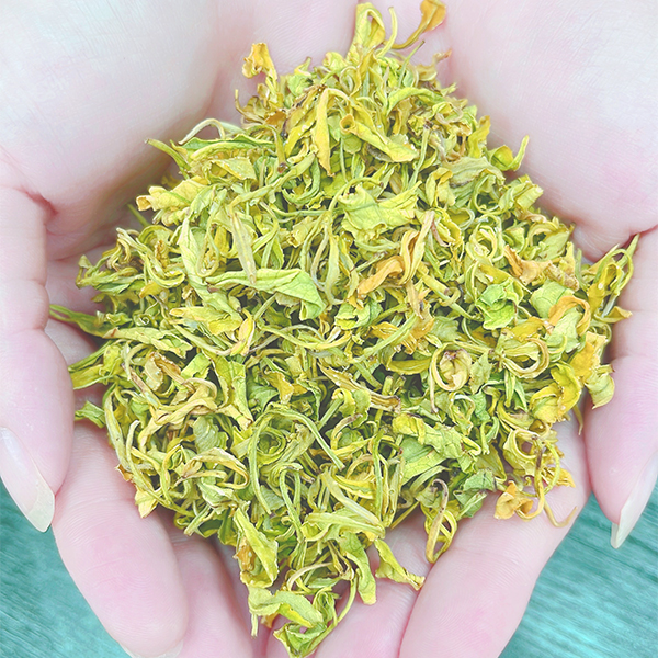 2024年早春熊猫手工奶白黄金芽 高山绿茶豆香十足SN588 250g/500g
